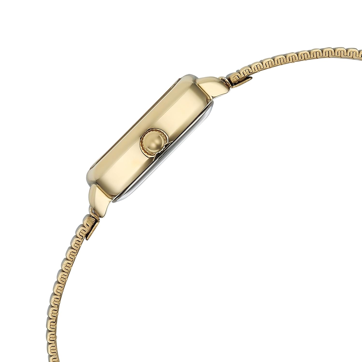 Titan Raga Showstopper Quartz Analog Champagne Dial Metal Strap Watch For Women