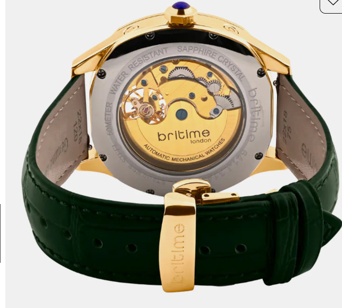 Men Automatic Green Dial Multi-Function Leather Watch