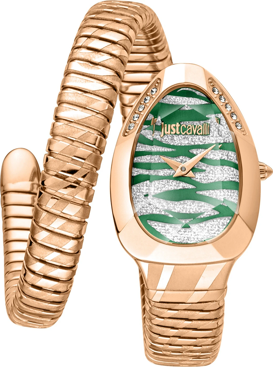 Just Cavalli JC1L225 Analog Watch  - For Women