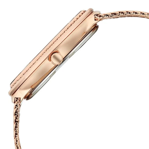Titan Raga Glimmers Quartz Analog Brown Mother Of Pearl Dial Rose Gold Metal Strap Watch For Women