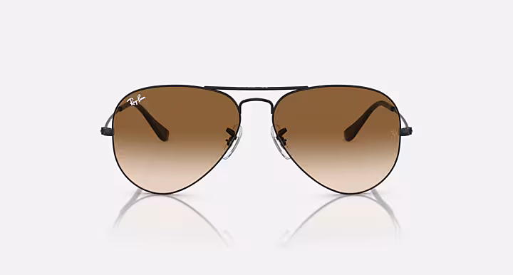 AVIATOR GRADIENT Sunglasses in Black and Brown