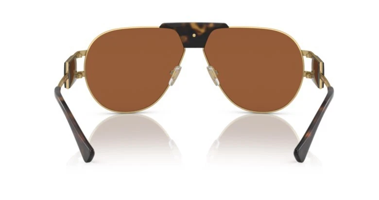 Versace 0VE2252 147073 - Gold / Dark Brown Polished Havana Men's Sunglasses