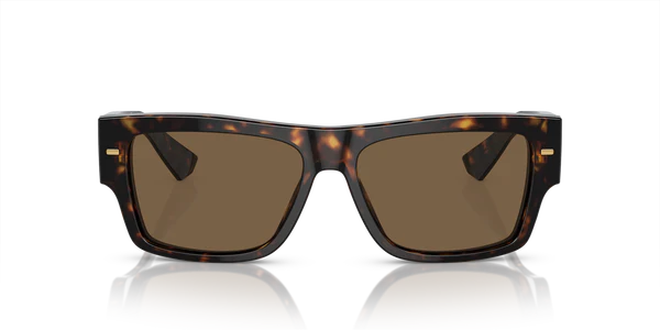Dolce&Gabbana with Brown lenses and Tortoise frame