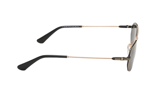 Police Sunglasses SPLF66K 302