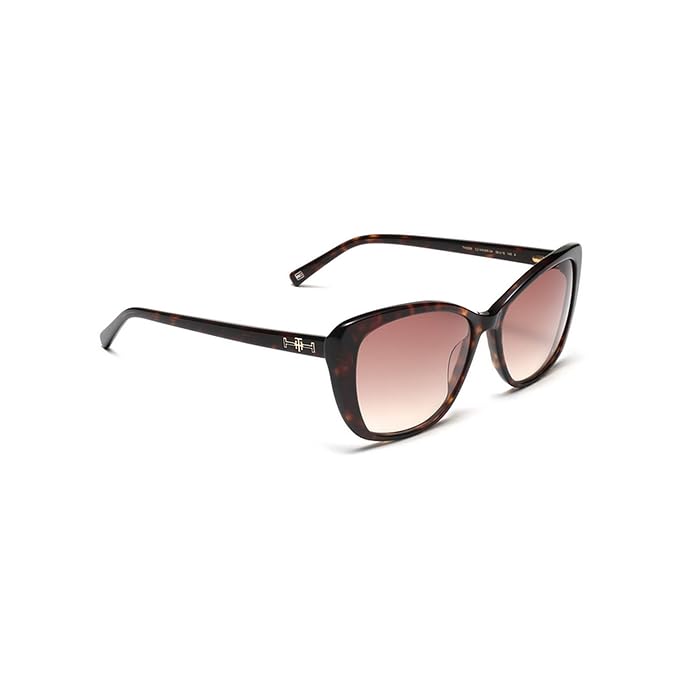 TOMMY HILFIGER Eyewear | Brown Lens | Brown Frame | Full Rim Cateye Shape Branded Latest and Stylish Sunglasses | 100% UV Protection | Womens Sunglasses|