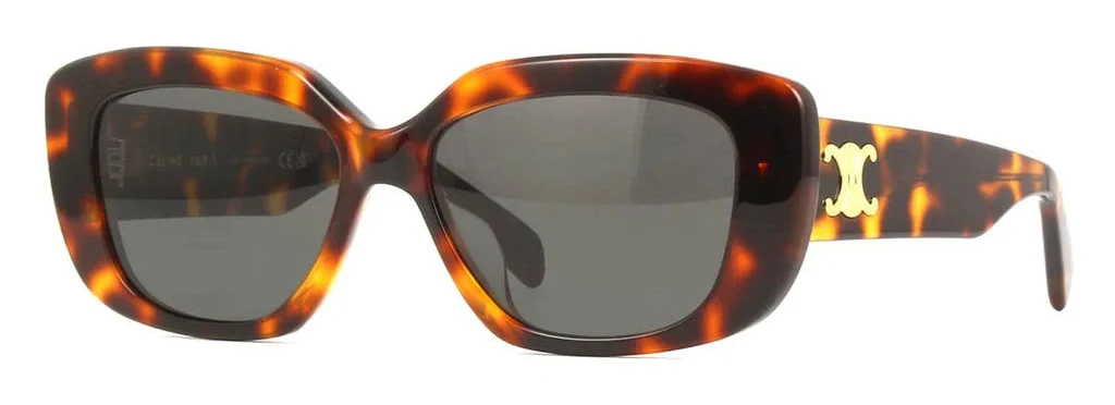 Celine Triomphe 04
